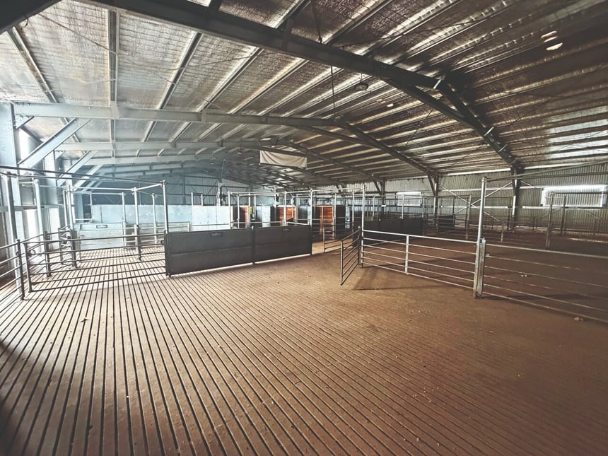 Shearing shed interior view