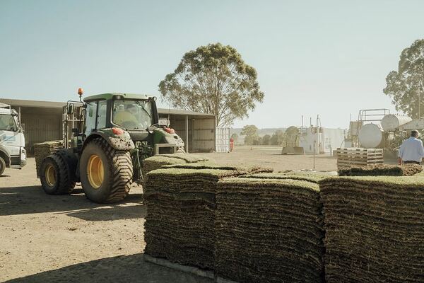 dsc03240-small-video-menu-menu-600x400