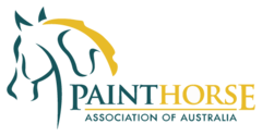 paint-horse-association-of-australia