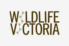 wildlife-victoria