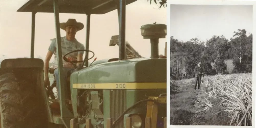 NB-PineappleFarm (1)