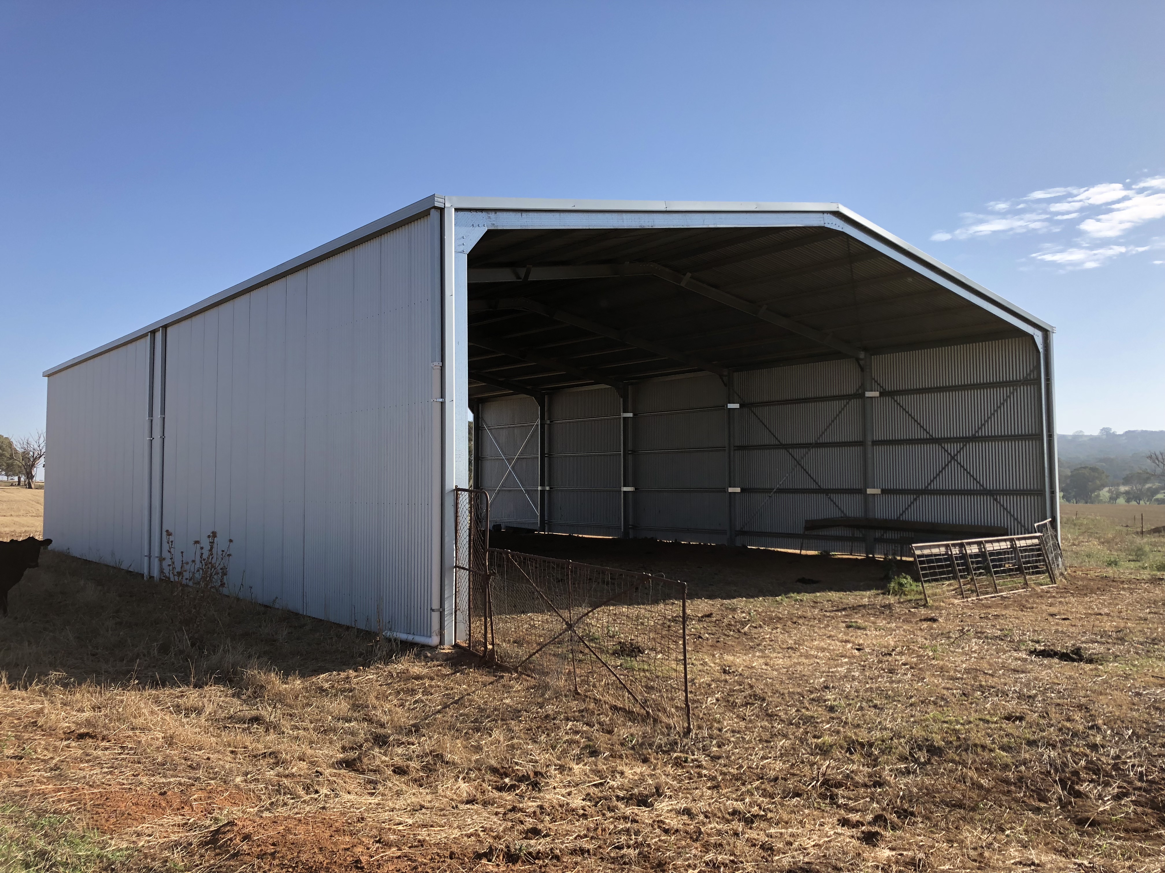 Charlie B, Cudal, NSW