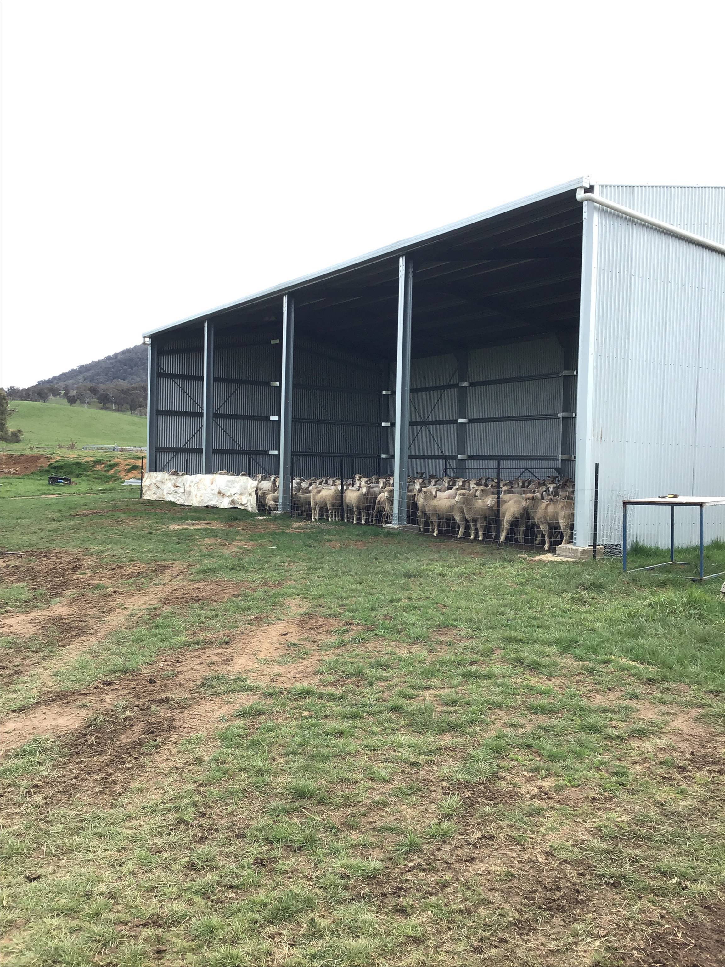 Ian N, Benambra, VIC