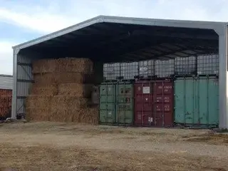 Robyn-Peter-A-2018-NSW-Yes